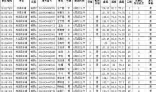 公务员体检不合格