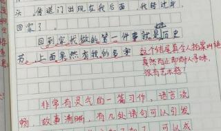 我的老师作文开头