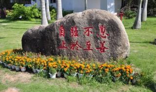 厦门大学怎么样