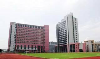 山东专升本学校