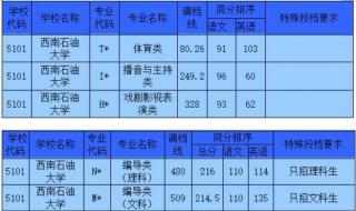 西南科技大学调档线