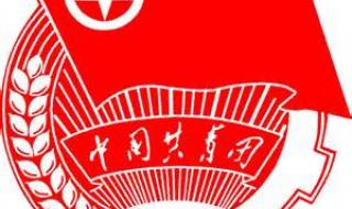 中国共青团入团申请书