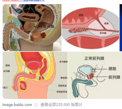 尿频尿急吃什么药 尿频尿急尿不尽吃什么药