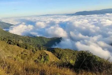 哀牢山失联人员最新消息 哀牢山失联的4名地质人员的情况如何了