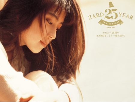 坂井泉水灌篮高手 ZARD 灌篮高手ED4全平假名歌词